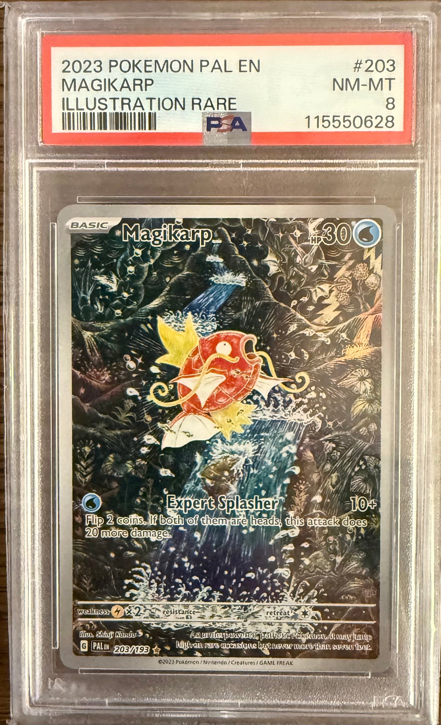 PSA 8 - Magikarp PAL 203